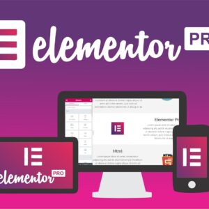 Elementor Pro V3.17.0 + Elementor Core V3.17.1